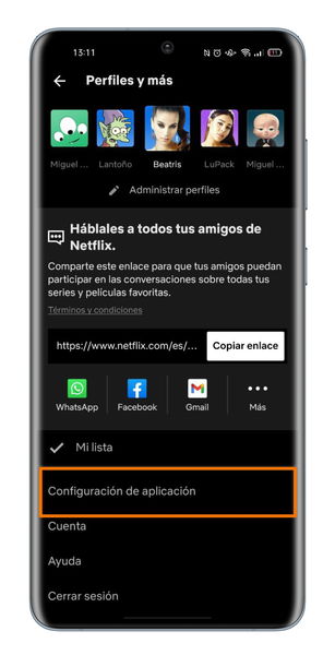 Cómo cambiar la calidad de la imagen en Netflix paso a paso