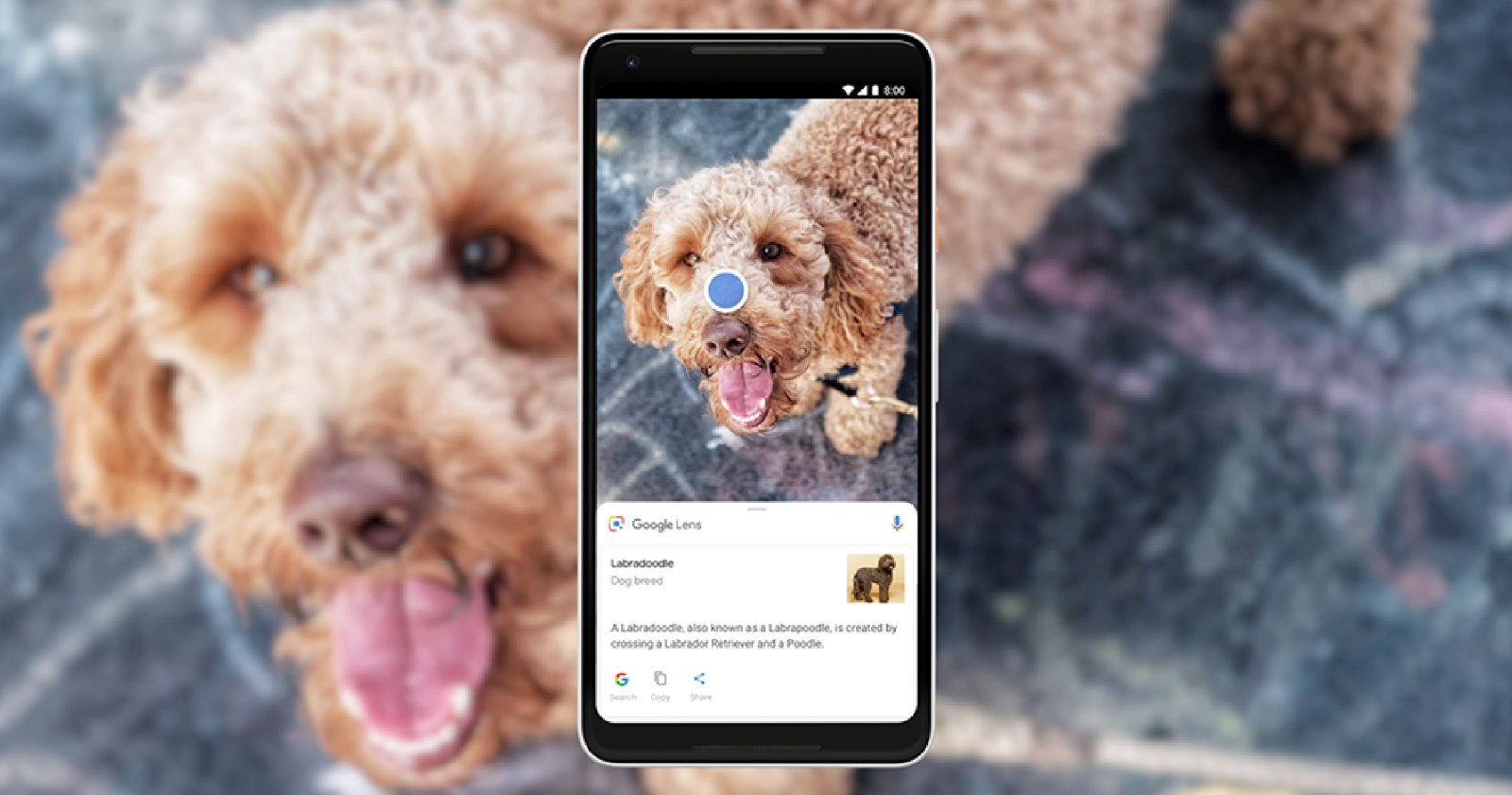 Google Lens en un móvil Android