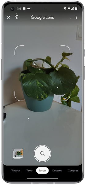 Cómo identificar cosas y objetos en fotos de la galería y capturas de pantalla usando Google Lens