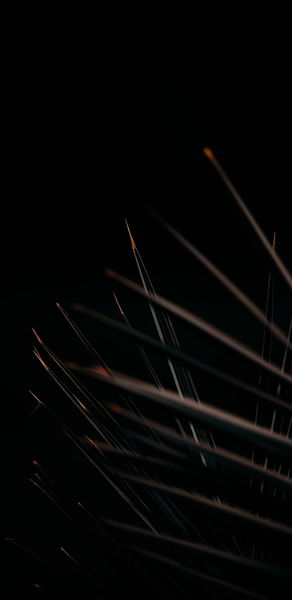 Los mejores fondos de pantalla para tu móvil