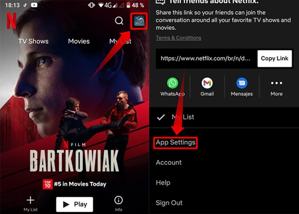 Como limitar el consumo de datos en Netflix en la app del movil