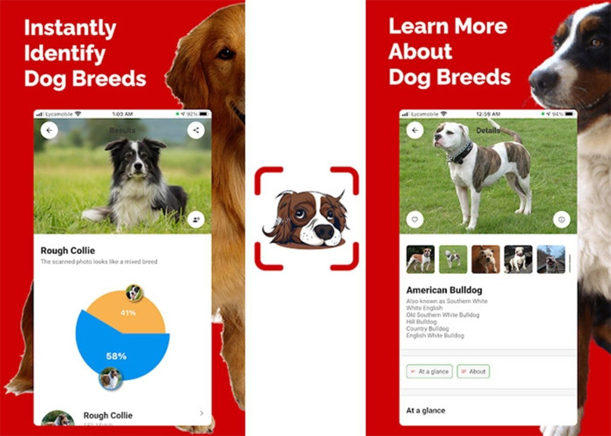Las mejores 8 aplicaciones para reconocer razas de perro