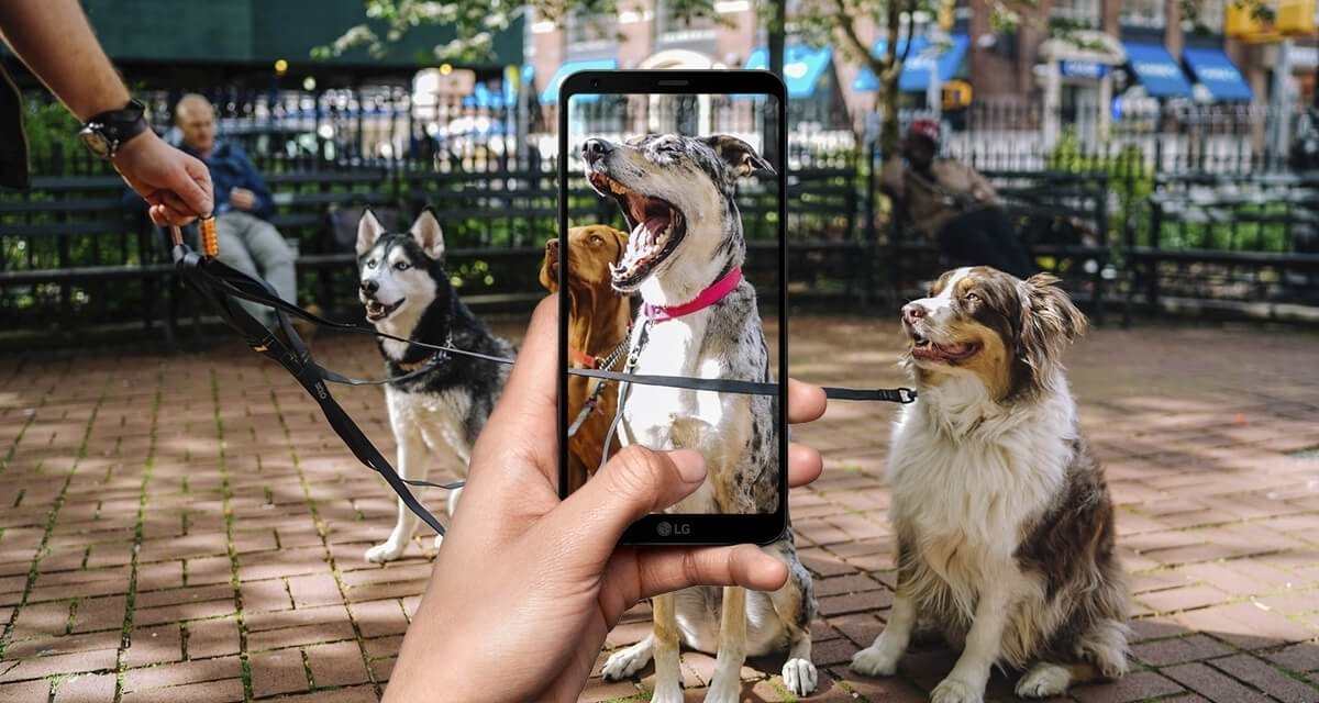 mejores 8 aplicaciones reconocer razas de perro