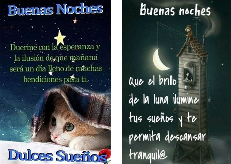 WhatsApp: las 109 mejores frases e imágenes para dar las buenas noches