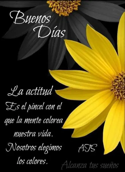 10 ideas de Frases  frases bonitas, frases, frases girasoles