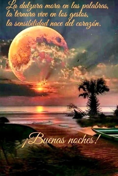 Dios te de una noche tranquila llena de fe y esperanza!  Fotos buenas  noches, Oración de buenas noches, Buenas noches frases bonitas