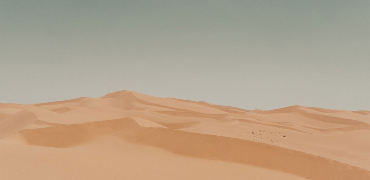 Los mejores fondos de pantalla para tu móvil