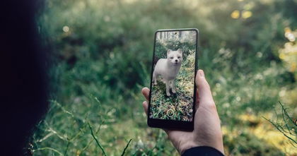 Google presenta nuevos animales en 3D y todos son especies suecas en peligro de extinción Google presenta nuevos animales en 3D y todos son especies suecas en peligro de extinción