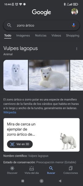 Google presenta nuevos animales en 3D y todos son especies suecas en peligro de extinción