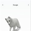 Google presenta nuevos animales en 3D y todos son especies suecas en peligro de extinción