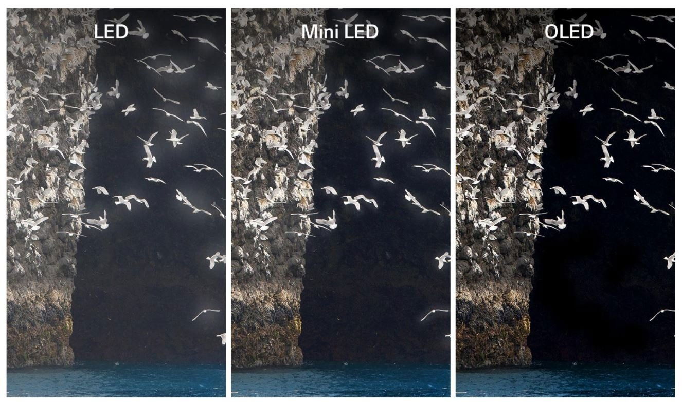 Diferencias LED OLED