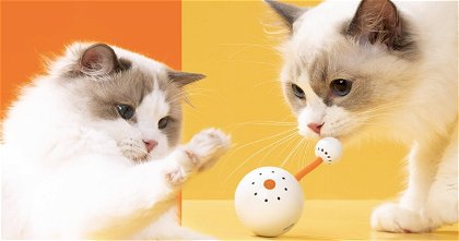 Xiaomi ha lanzado un juguete para gatos que puedes controlar con el móvil