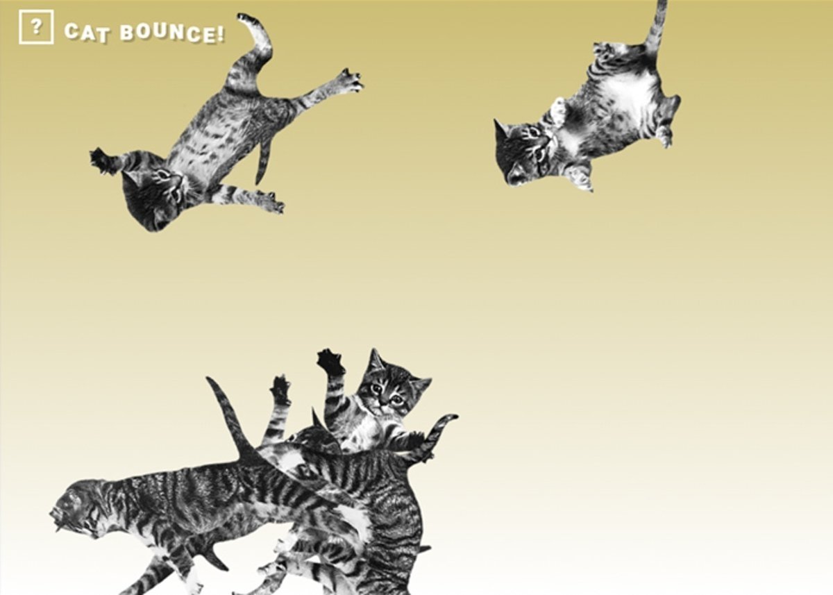 Cat Bounce: una página rara de gatos saltando