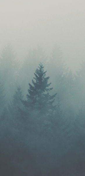 Los mejores fondos de pantalla para tu móvil