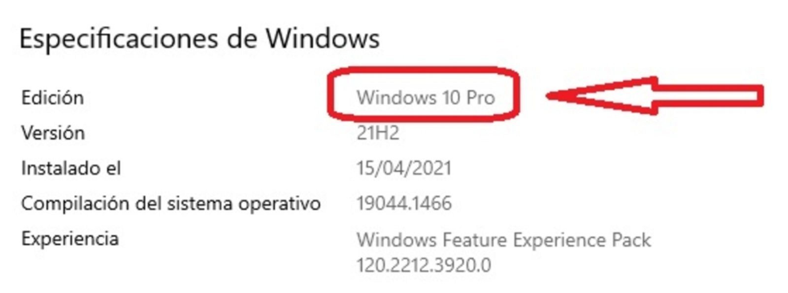 edición de Windows