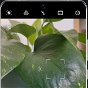 Huawei P50 Pro, análisis: un flagship que brilla con luz propia a pesar de las ausencias