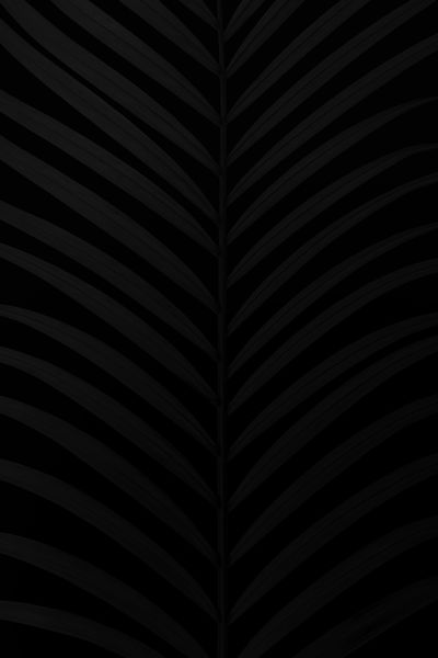 Los mejores fondos de pantalla para tu móvil