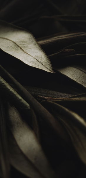 Los mejores fondos de pantalla para tu móvil