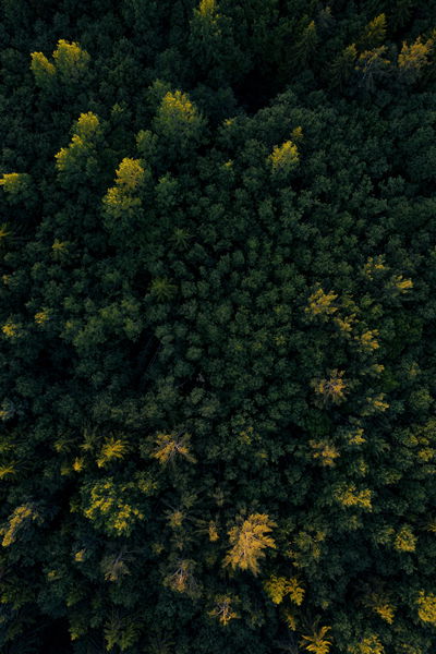 Los mejores fondos de pantalla para tu móvil
