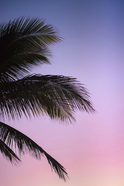 Los mejores fondos de pantalla para tu móvil