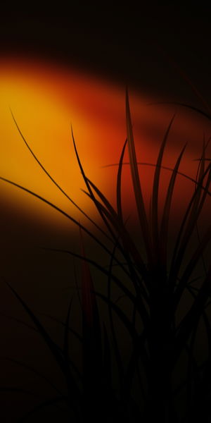 Los mejores fondos de pantalla para tu móvil