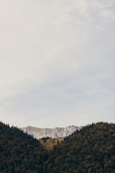 Los mejores fondos de pantalla para tu móvil