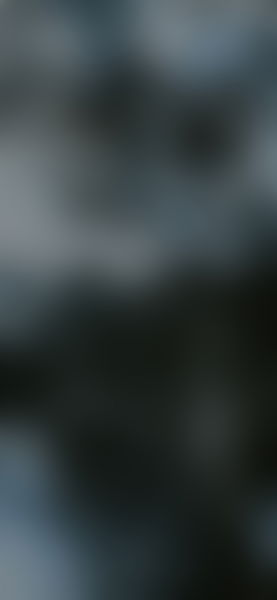 Los mejores fondos de pantalla para tu móvil