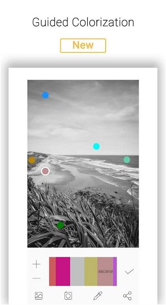 Esta aplicación te permite colorear tus fotos en blanco y negro y es gratis por tiempo limitado