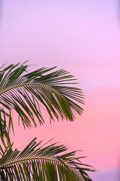 Los mejores fondos de pantalla para tu móvil