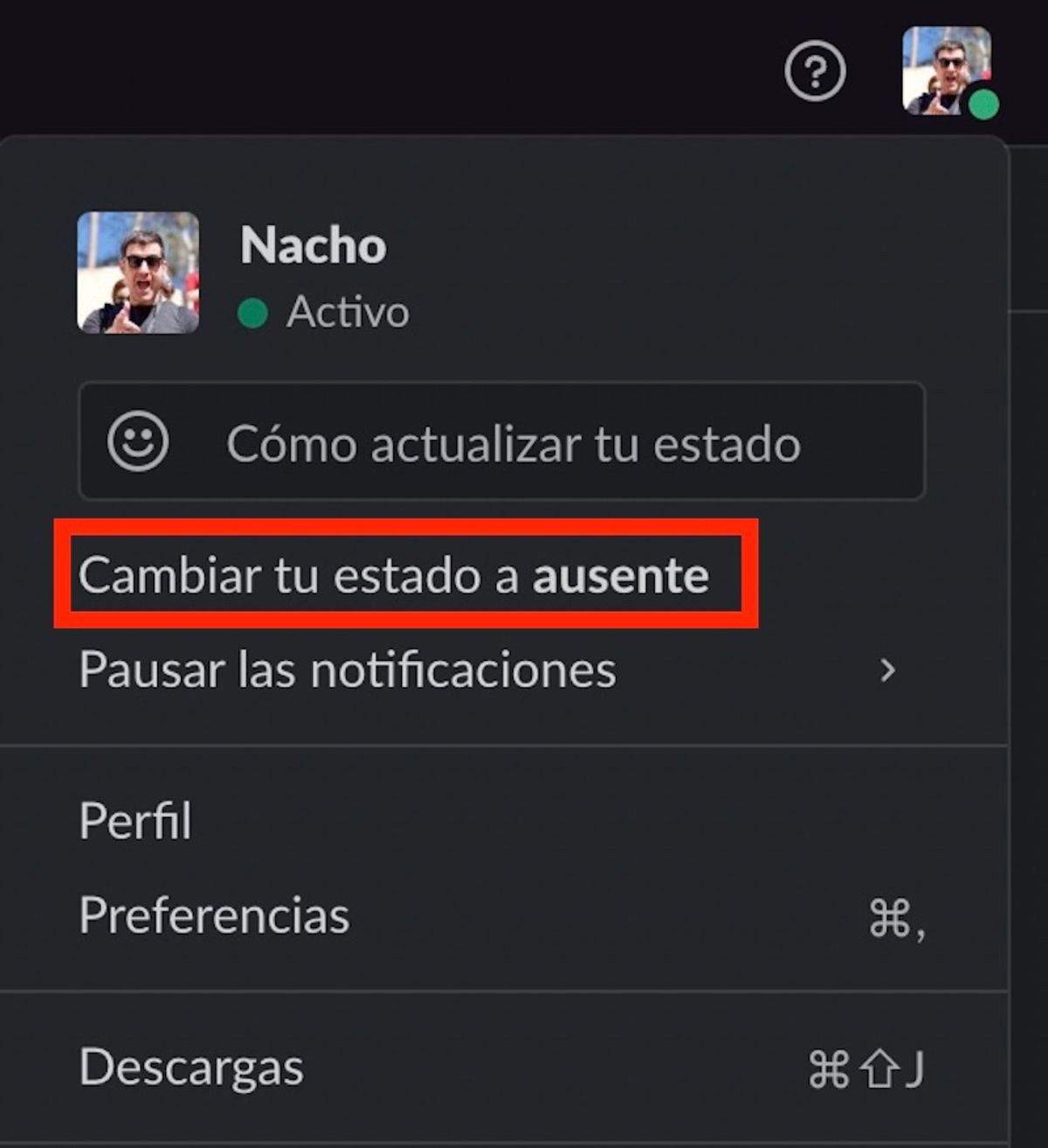 Captura de pantalla de Disponibilidad en Slack