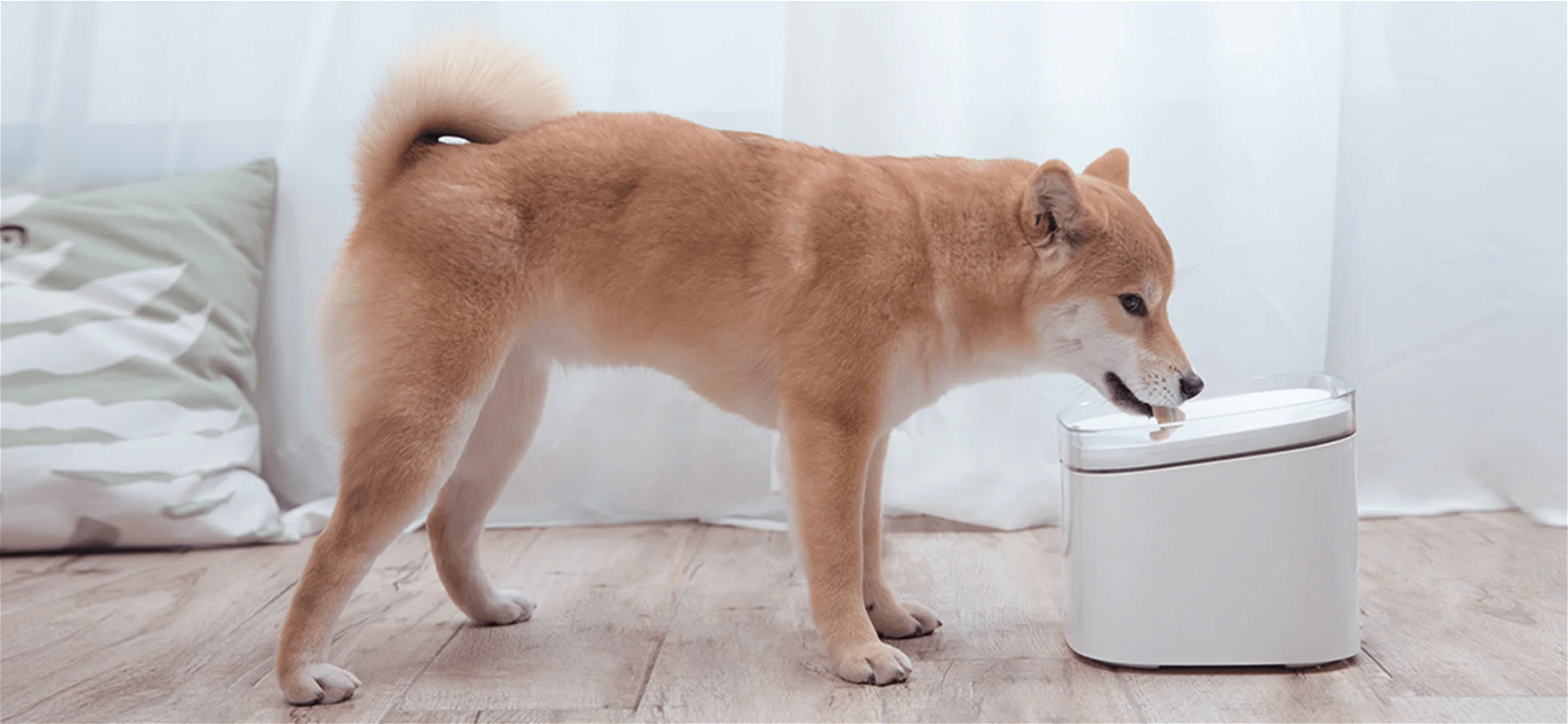 Xiaomi fuente agua mascotas