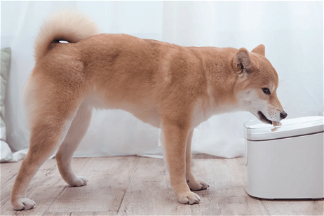 Lo último de Xiaomi es una fuente de agua inteligente para tu mascota
