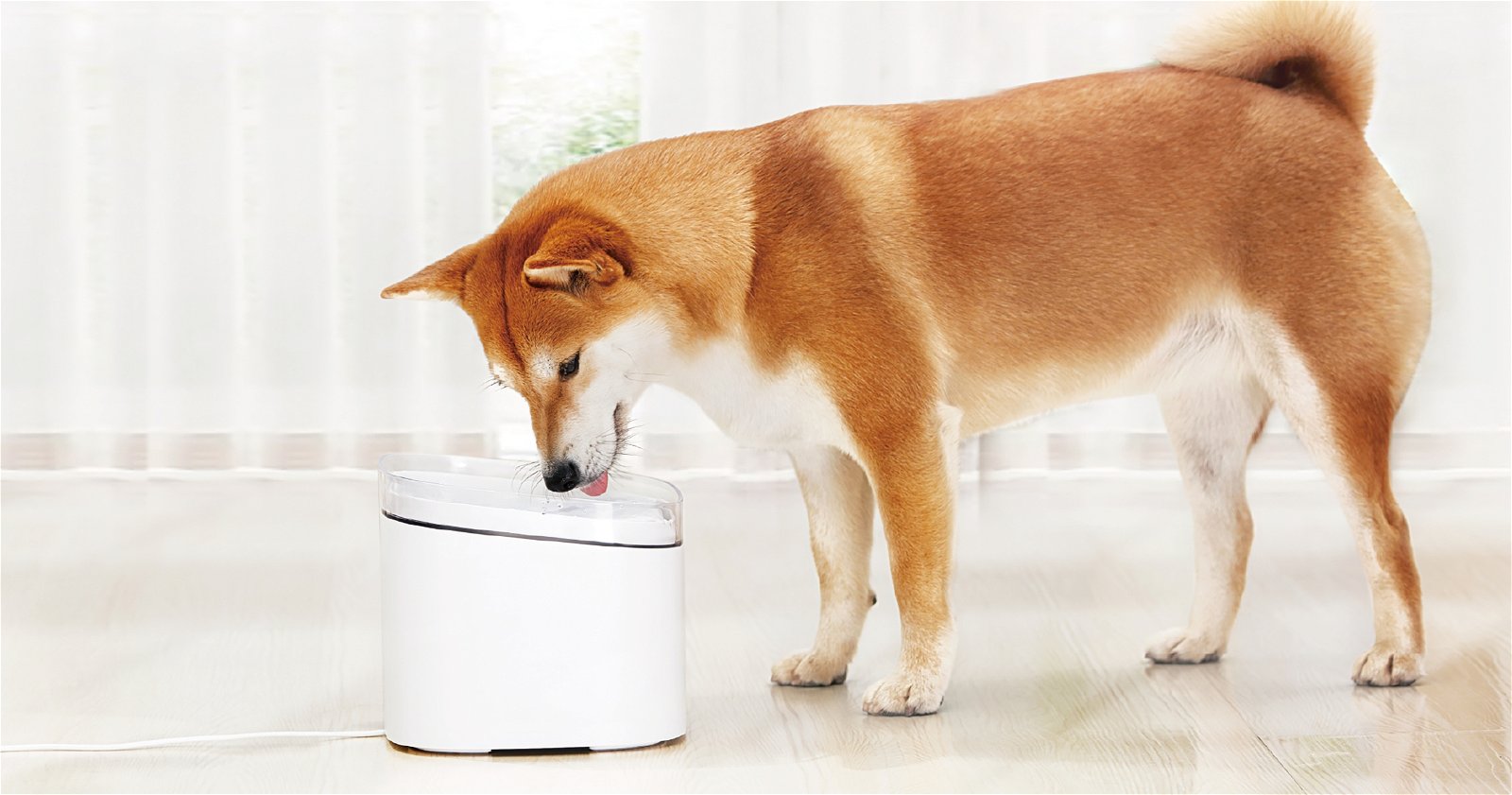 Fuente de agua de Xiaomi para perros