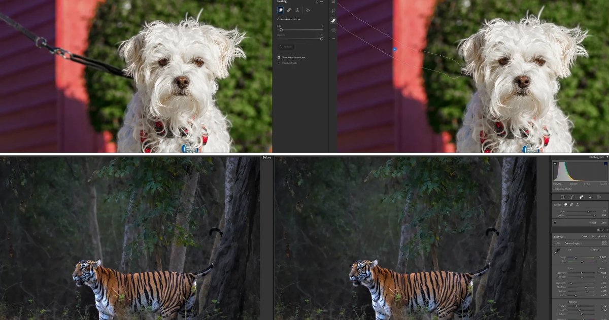 Grandes novedades en Photoshop y Lightroom: eliminar objetos de una foto nunca ha sido tan fácil