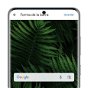 Cómo personalizar la barra de búsqueda de Google del móvil