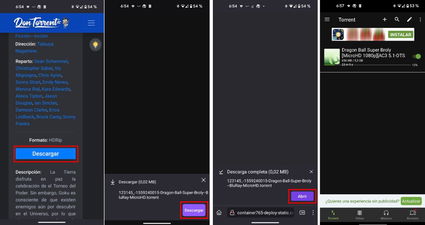 descargar torrent torrent