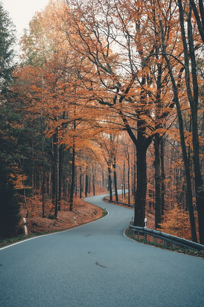 Fondo de pantalla bonito de carretera