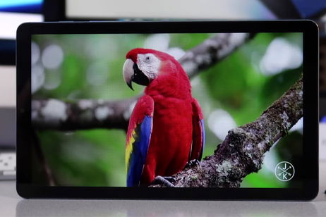 La tablet que yo te recomiendo por unos 150 euros: resistente, con buena pantalla y gran autonomía La tablet que yo te recomiendo por unos 150 euros: resistente, con buena pantalla y gran autonomía