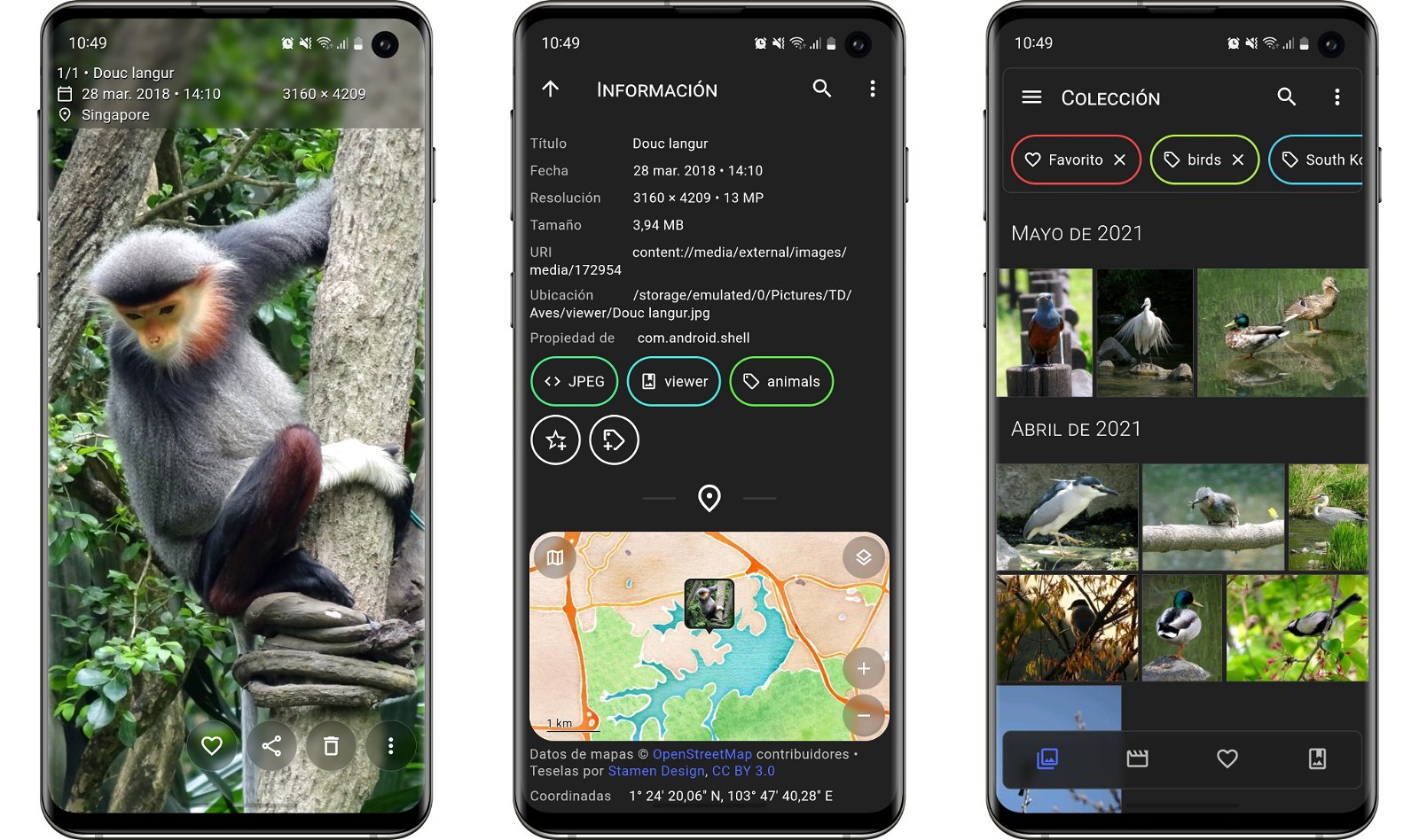 4 apps de Galería diferentes a Google Fotos con las que tomar el control de tus fotos y vídeos