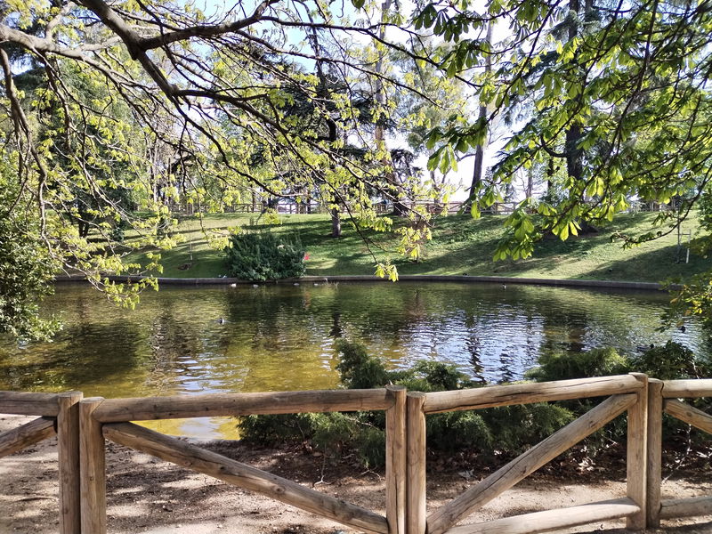 Un estanque en el Retiro