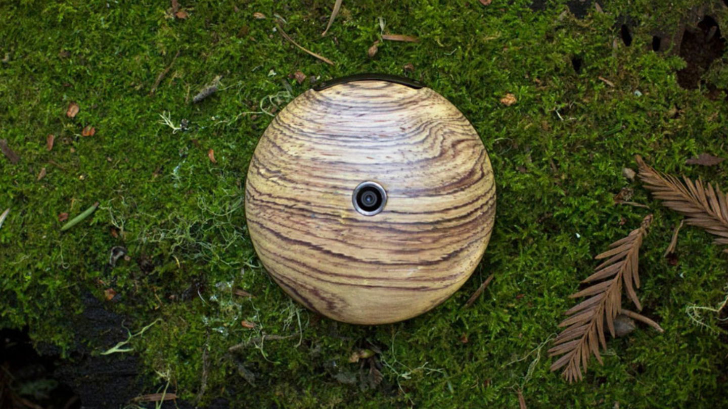 Diseño de la trasera de Runcible