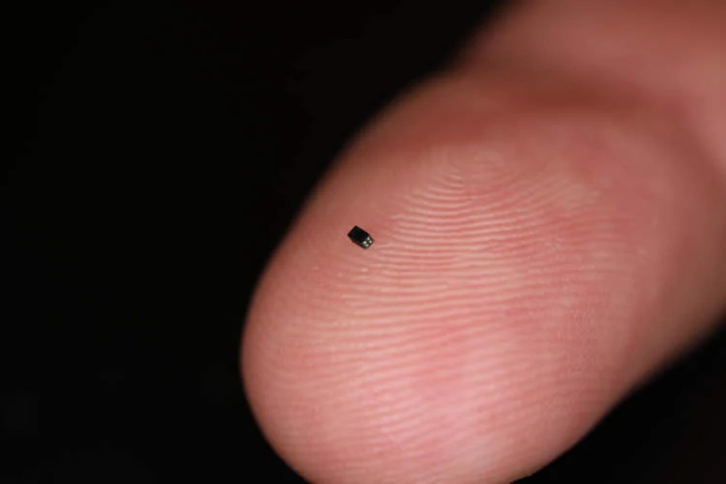 Esta es la cámara más pequeña del mundo: tiene el tamaño de un grano de sal y graba vídeo a 30 FPS