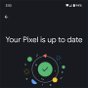 Nuevo menú de información del Google Pixel