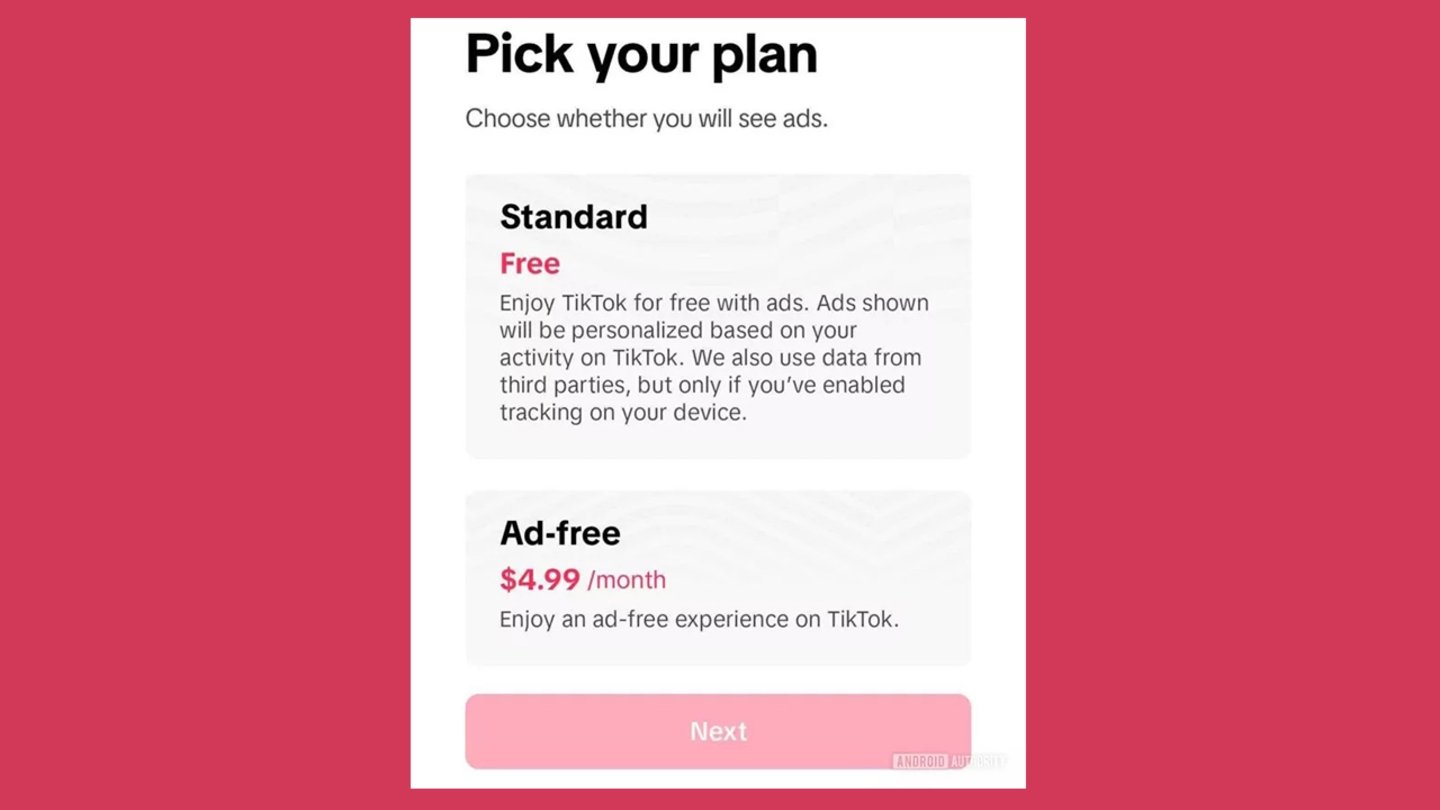 TikTok tendrá una suscripción de pago: podrás librarte de los anuncios por 5 euros al mes