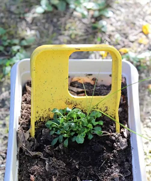 Funda iGreen recién plantada