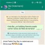 Este veterinario virtual integrado en WhatsApp usa la IA de Google para resolver tus dudas