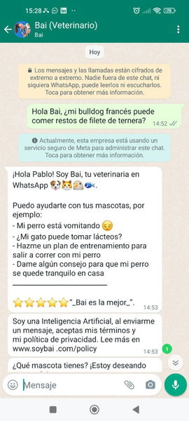 Este veterinario virtual integrado en WhatsApp usa la IA de Google para resolver tus dudas