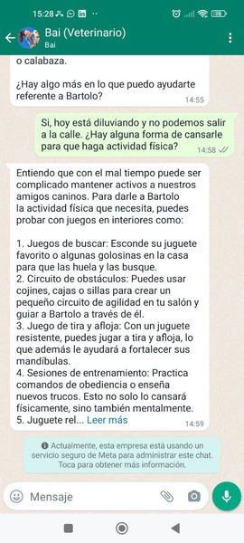 Este veterinario virtual integrado en WhatsApp usa la IA de Google para resolver tus dudas