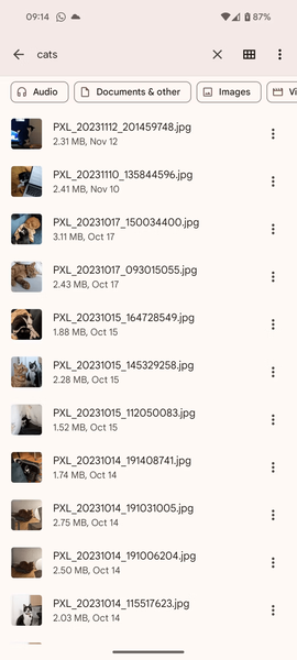 Google Files Búsqueda Inteligente Gatos