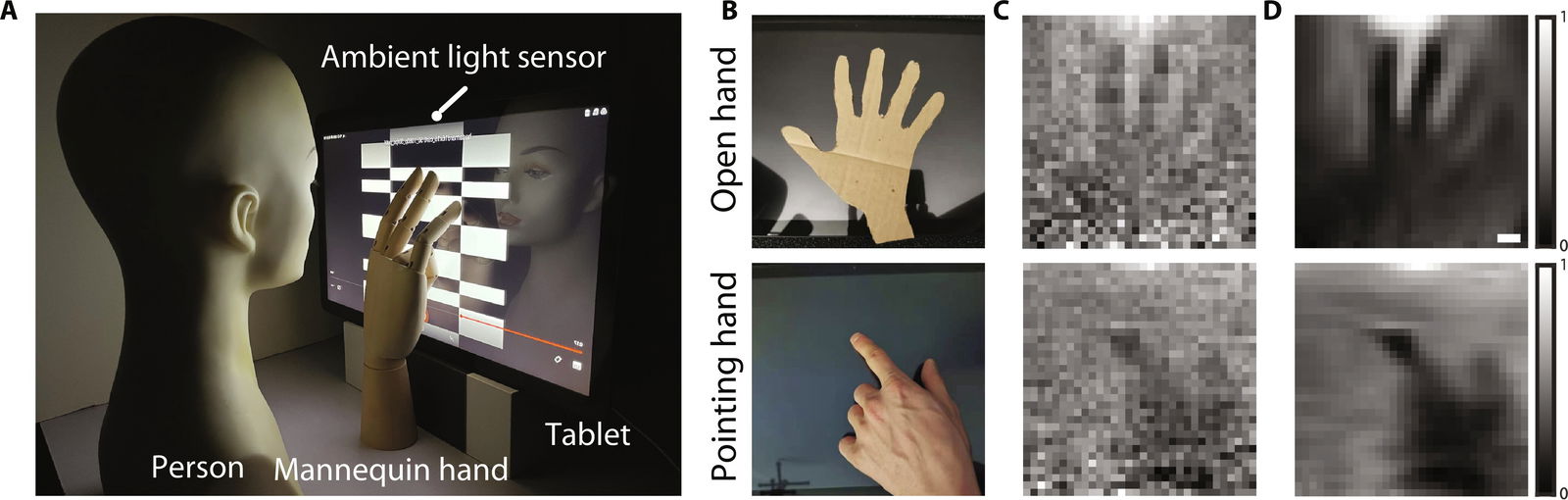 El peligro oculto del sensor de luz de tu móvil: pueden usarlo para espiarte